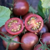 Nadir Black Cherry Siyah Domates Tohumu (15 tohum) - 3