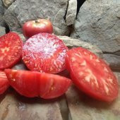 Olive Hill Etli Domates Tohumu (15 tohum) - 4