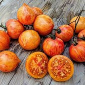 Kozula 133 Kalp Şeklinde Etli Domates Tohumu (15 tohum) - 2