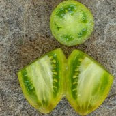 Dwarf Saucy Mary Yeşil Sarı Alacalı Etli Domates Tohumu (15 tohum) - 2