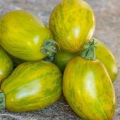 Dwarf Saucy Mary Yeşil Sarı Alacalı Etli Domates Tohumu (15 tohum) - 3