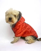Luxy Orange Köpek Montu, Köpek Ceketi, Köpek Dış Giyim - 6