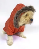 Luxy Orange Köpek Montu, Köpek Ceketi, Köpek Dış Giyim - 8