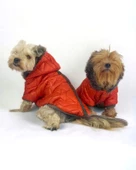 Luxy Orange Köpek Montu, Köpek Ceketi, Köpek Dış Giyim - 2