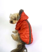 Luxy Orange Köpek Montu, Köpek Ceketi, Köpek Dış Giyim - 7