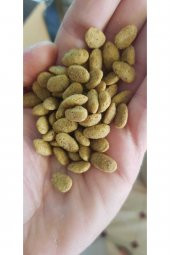 Nutribird P15 Original, Papağan Pelet Yemi 250gr (Deneme Paketi) - 1