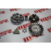 Cygnus L Ön Varyatör Oem (538969386) - 1