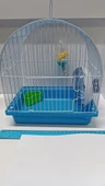 Hamster S200 Kafesi Boyalı 23X17X25 - 1