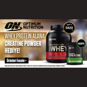 Optimum Gold Standard Whey Protein 2273 gr Çikolata + Optimum Creatine 317 gr Aromasız thumbnail 1