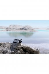 Dji Mini 3 Pro Drone RC Kumandalı - 1