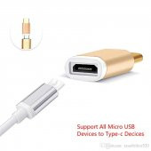 Type-C Erkek - Micro USB Dişi Şarj Kablosu Çevirici - Altın - 2