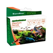 Eurostar Bitki Tohumu Eleocharis Parvula thumbnail 1