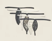 ASM1209 Kadın 5 li Karışık Renkler Mini Damla Kıskırtıcı Tanga - 4