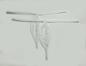 ASM1207 Kadın 2 li Beyaz Tül Dantel Mini Damla Kıskırtıcı Tanga - 2