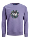 JACK JONES Yazı Baskılı Bisiklet Yaka Erkek Sweatshirt 12242366 thumbnail 1