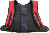 Tıtanium LifePO4 Pro  Zeytin Hasat Makinası İçin Sırt Aküsü - 3