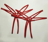 ASM1218 Kadın 2 Li Kırmızı Yıldızımsın Çift Lastik Tanga - 5