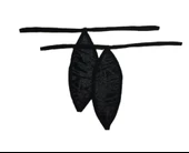 ASM1210 Kadın 2 li  Siyah Mıcro Mini Damla Kıskırtıcı String - 5