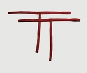 ASM1214 Kadın 2 Li Kırmızı Özel Bölgesi 1 Serit Tanga - 4