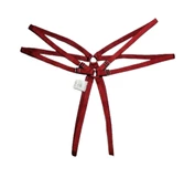 ASM1218 Kadın 2 Li Kırmızı Yıldızımsın Çift Lastik Tanga - 4