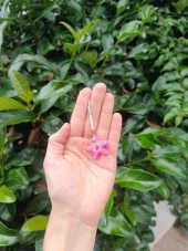 Anahtarlık Kolye Sevimli Yıldız Çanta Araba Cüzdan Aksesuar Süsü Hediye - 1