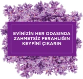 Glade Lavanta Ferahlığı 70 gr Mini Jel Oda Kokusu - 3