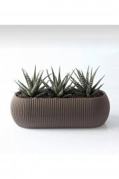 TOPTANBULURUM Mercan Uzun Saksı 27.7x11.8x9.8 Cm 1.3 Lt - 1