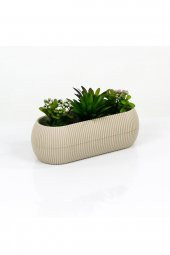 TOPTANBULURUM Mercan Uzun Saksı 20,8x8,7x6,8 cm No:1 0.55 Lt - 1