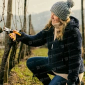 Alpen Gelbhorn 150 Budama Makası 20 Mm thumbnail 3