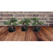 Yapay Çiçek Mini Ağaç (6,5 cm X 13 cm) X 3 Adet - 1