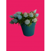 Yapay Çiçek Kozalaklı Boyutları 6 cm X 13 cm - 3