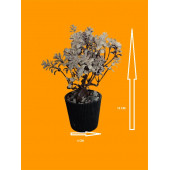 Yapay Çiçek Ağac Boyutu 4 cm X13 cm - 1