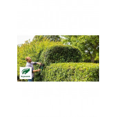 Bosch UniversalHedgeCut 70 Çit Kesme Makinesi - 5