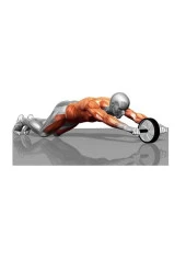 Ciwaa Cwa-2248  Egzersiz Fitness Tekerleği - 2