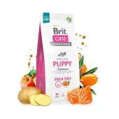 Brit Care Puppy Tahılsız Skin & Coat  Somonlu Yavru Köpek Maması 12 Kg thumbnail 2