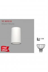 YCL Sıva Üstü Dekoratif Armatür Yc-8110b - 1