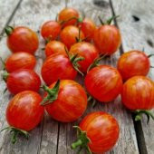 Süpernova Cherry Domates Tohumu(15 tohum) - 1