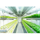 BİTKİ YETİŞTİRME LEDİ - 4