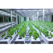 BİTKİ YETİŞTİRME LEDİ - 5