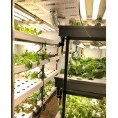 BİTKİ YETİŞTİRME LEDİ - 6