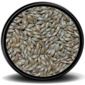 Açık Sade Aspur Kanarya Yemi - 1