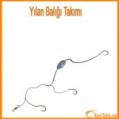 Yılan Balığı Takımı 2 Adet - 1