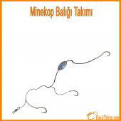 Minekop Balığı Takımı ( 2 ADET ) - 1