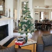 T.Concept Yılbaşı Çam Ağacı 120 cm Boy, 156 Dal, Noel Yılbaşı Dekorasyonu, Plastik Ayaklı, Kutulu thumbnail 2