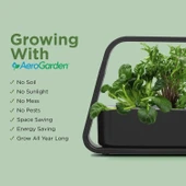 AeroGarden Topraksız Kapalı Bahçe, Filiz ve Gurme Otlar Tohum Kiti - Siyah - 4