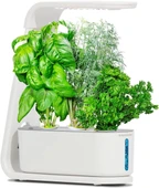 AeroGarden Topraksız Kapalı Bahçe, Filiz ve Gurme Otlar Tohum Kiti - Beyaz - 1