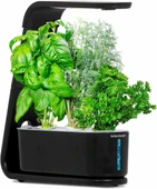 AeroGarden Topraksız Kapalı Bahçe, Filiz ve Gurme Otlar Tohum Kiti - Siyah - 1