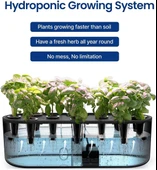 iDOO Topraksız Yetiştirme Sistemi, 10 Kapsüllü Kapalı Bitki Bahçesi - 3