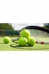 CKSpor Başlangıç Seviye Özel Fileli Pratik Taşınabilir 12 Adet Antrenman İçin Tenis Topu CKS-20 - 2