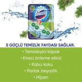 Domestos Wc Blok 5Li Güç Çam Ferahlıgı 50GR 6863 - 6